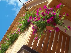 Kousek našeho balkonu