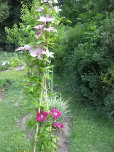 sud — 27. června 2011