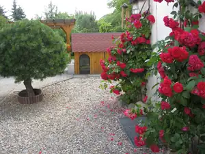 sud — 27. června 2011