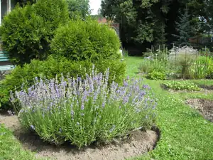 sud — 27. června 2011