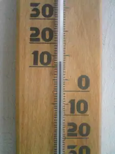 iris66 — 3. července 2011