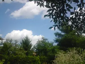 beránci nad zahradou