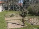 sud — 19. dubna 2010