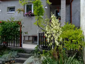 iris66 — 12. července 2011
