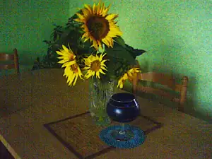 iris66 — 21. července 2011