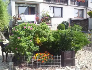 buliznik — 25. července 2011