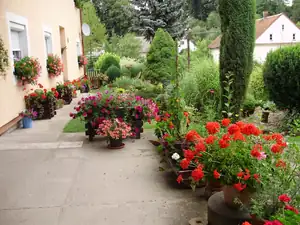 muškatek — 25. července 2011