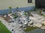 Koutek u rybníka 2009