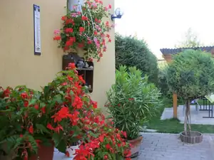 sud — 3. srpna 2011