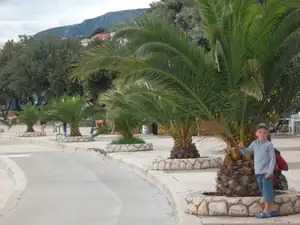 spokojenej vnouček
