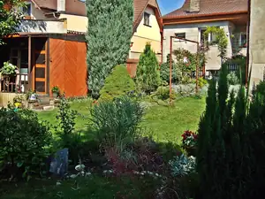 iris66 — 18. srpna 2011
