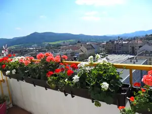 Tak kvetou moje balkony