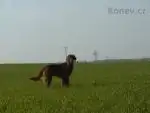 I m