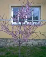 jirkapospa — 26. dubna 2010