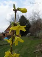 Tulda — 28. dubna 2010