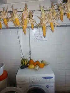 Příprava na podzimní výzdobu