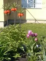 29.04.2010
