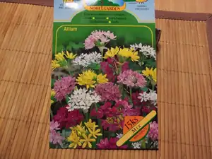 barevný česnek