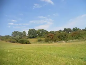 Přes louky