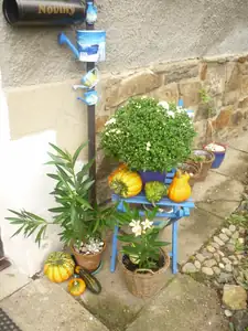 přišel podzim
