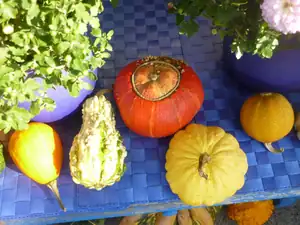 plody podzimu