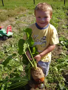 Maariee — 26. září 2011