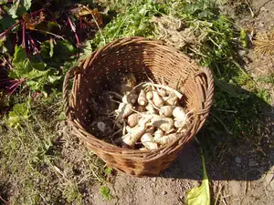 Maariee — 26. září 2011