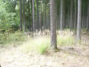 kyti5 — 29. září 2011