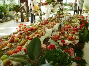 muškatek — 30. září 2011