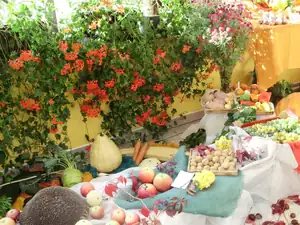 muškatek — 30. září 2011