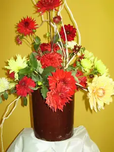 muškatek — 30. září 2011