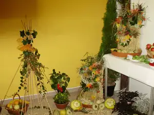 muškatek — 30. září 2011
