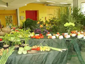 muškatek — 30. září 2011
