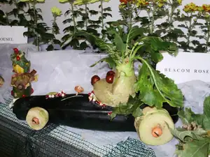 muškatek — 1. října 2011