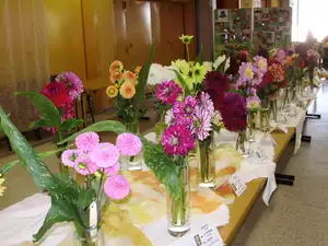 muškatek — 1. října 2011