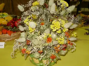 muškatek — 1. října 2011