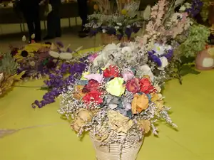 muškatek — 1. října 2011