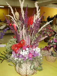 muškatek — 1. října 2011