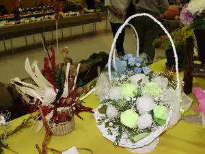 muškatek — 1. října 2011