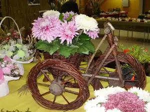 muškatek — 1. října 2011