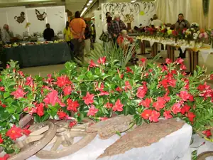 muškatek — 1. října 2011
