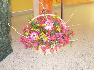 muškatek — 1. října 2011