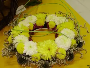 muškatek — 1. října 2011