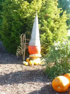 šáša