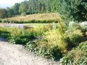 třapatky
