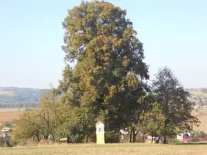 Cholerový hřbitov