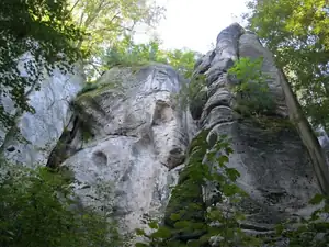 sud — 3. října 2011