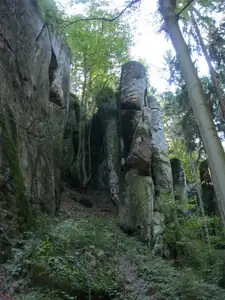 sud — 3. října 2011