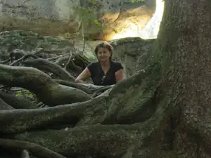sud — 3. října 2011