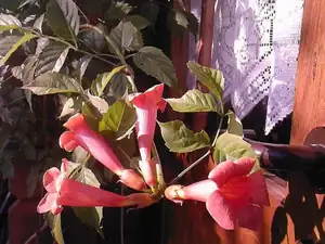 60 — 3. října 2011